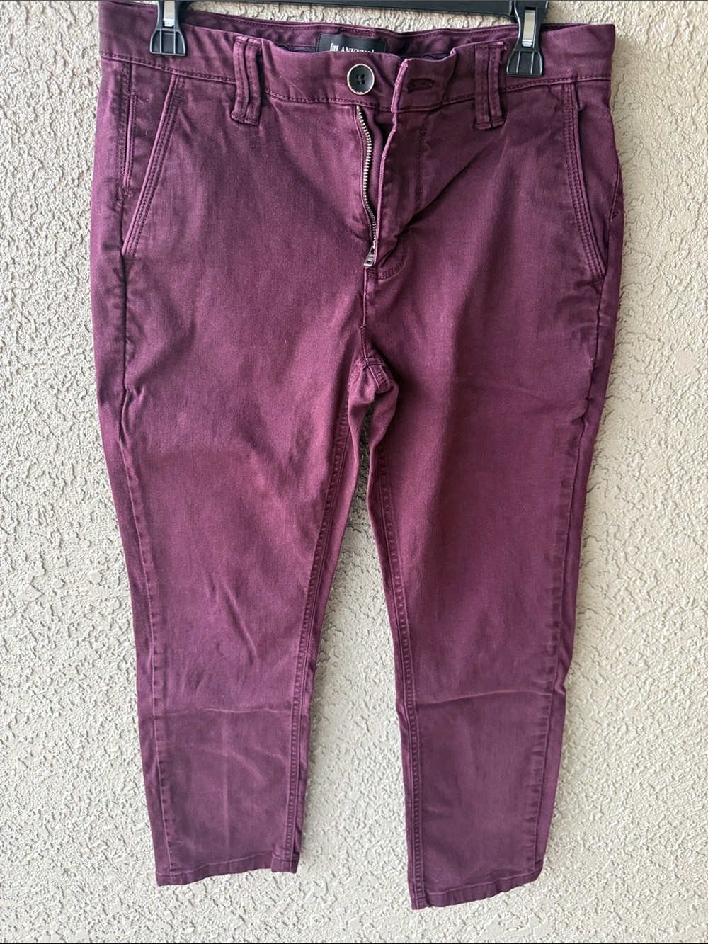 BlankNYC Slim Crop Pants in Deep Burgundy